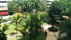 Blk 410 Pandan Gardens (Jurong East), HDB 3 Rooms #134415442